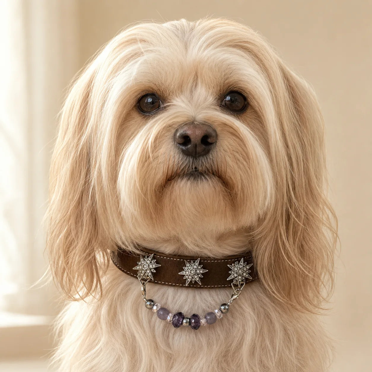 Twilight Star Classic Gemstone Collars product view 4